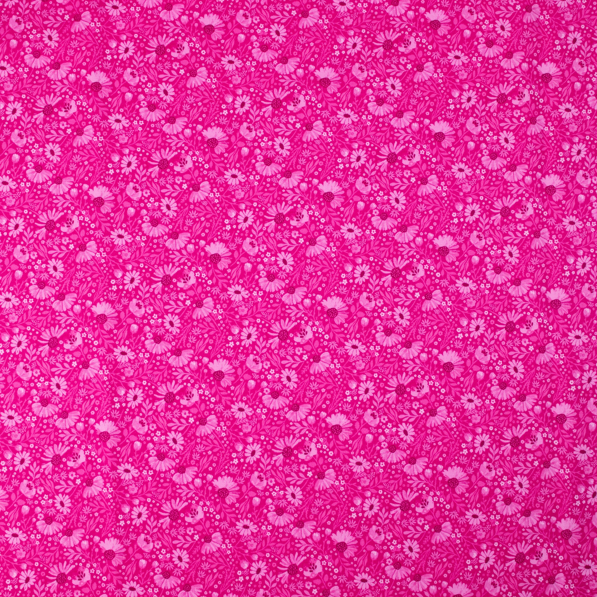 RJR Fabrics - Meadow Land - Candy Cones - Shocking pink