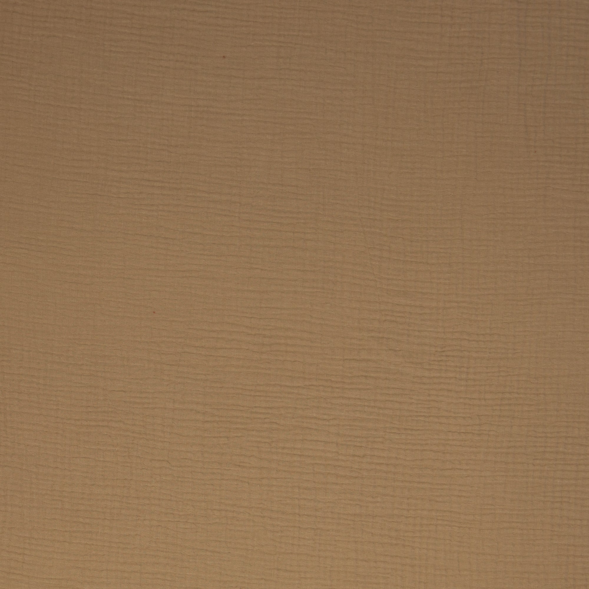 Musselin Jenke – Swafing – Camel
