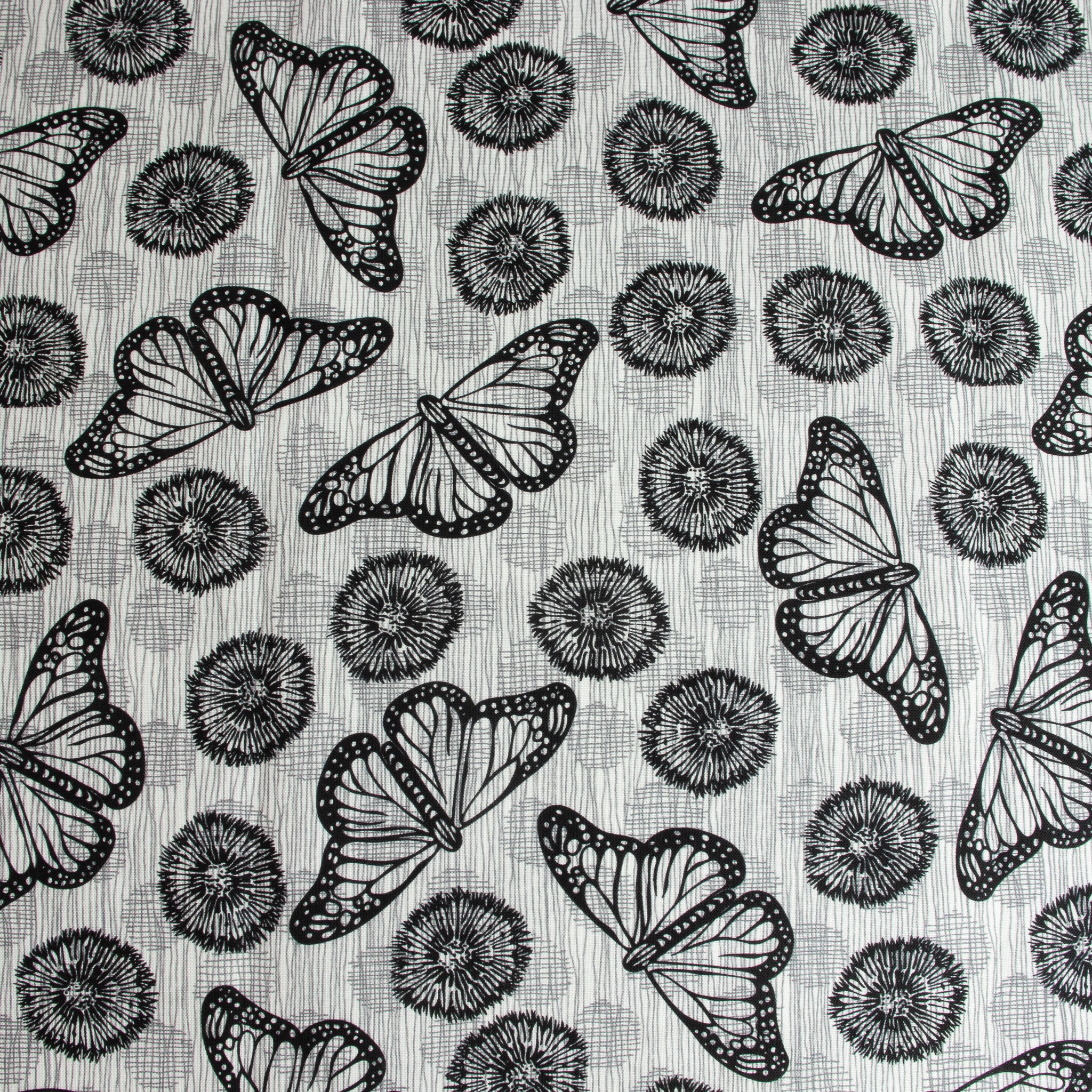 Windham Fabrics – Flight White/Black aus der Serie Winding Road von Natalie Barnes