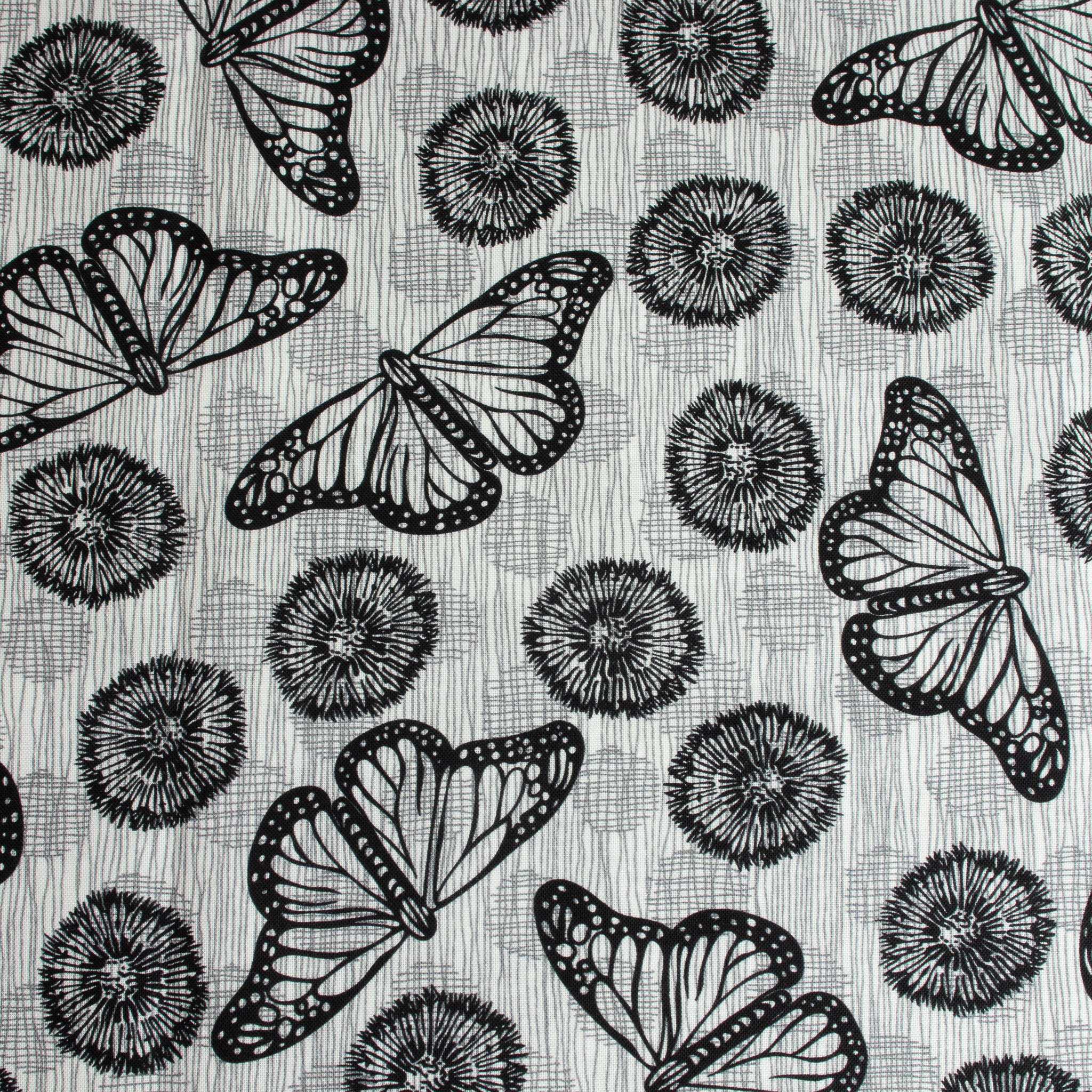 Windham Fabrics – Flight White/Black aus der Serie Winding Road von Natalie Barnes