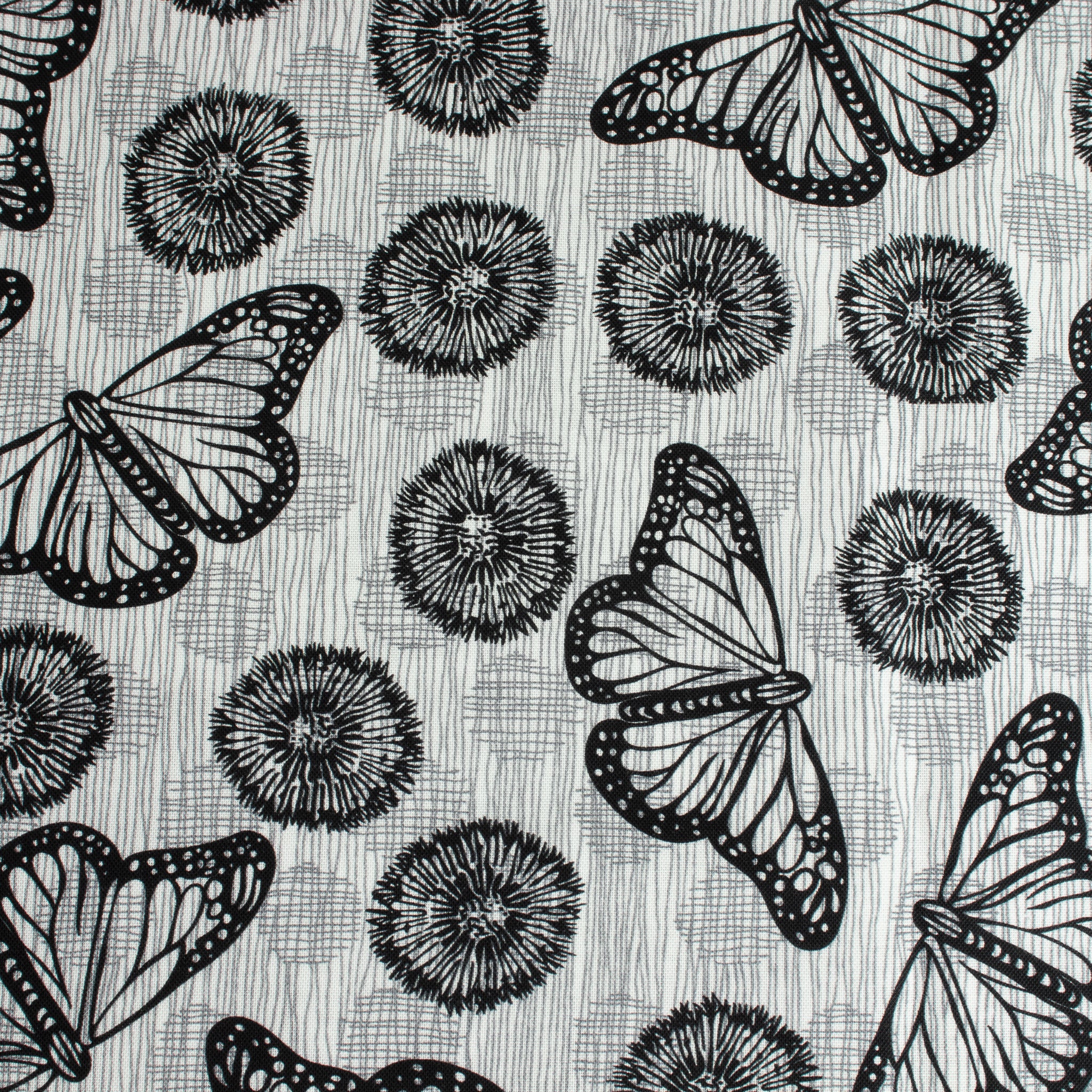 Windham Fabrics – Flight White/Black aus der Serie Winding Road von Natalie Barnes