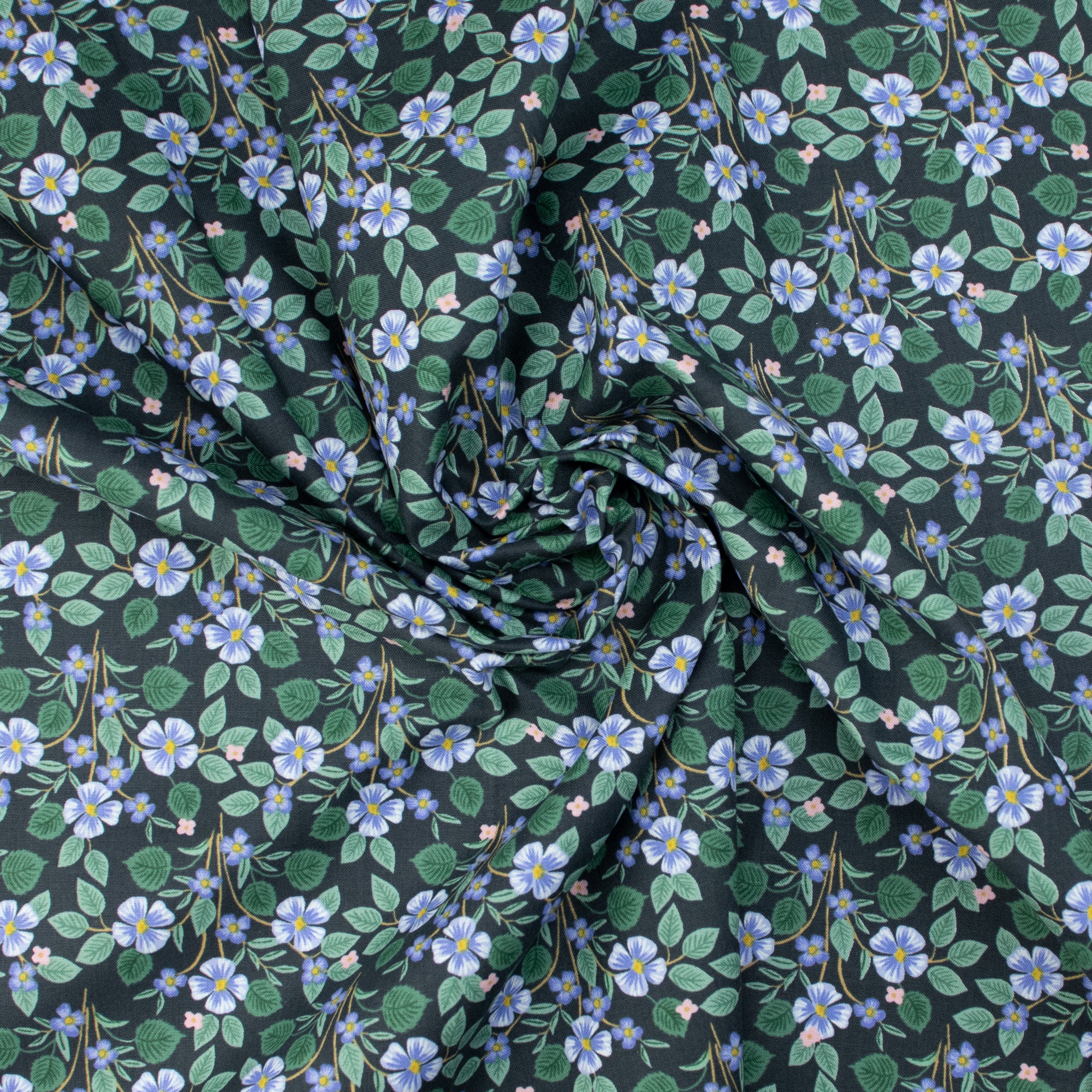 Cotton and Steel - Bramble - Briar - Black Fabric - Rifle Paper Co.