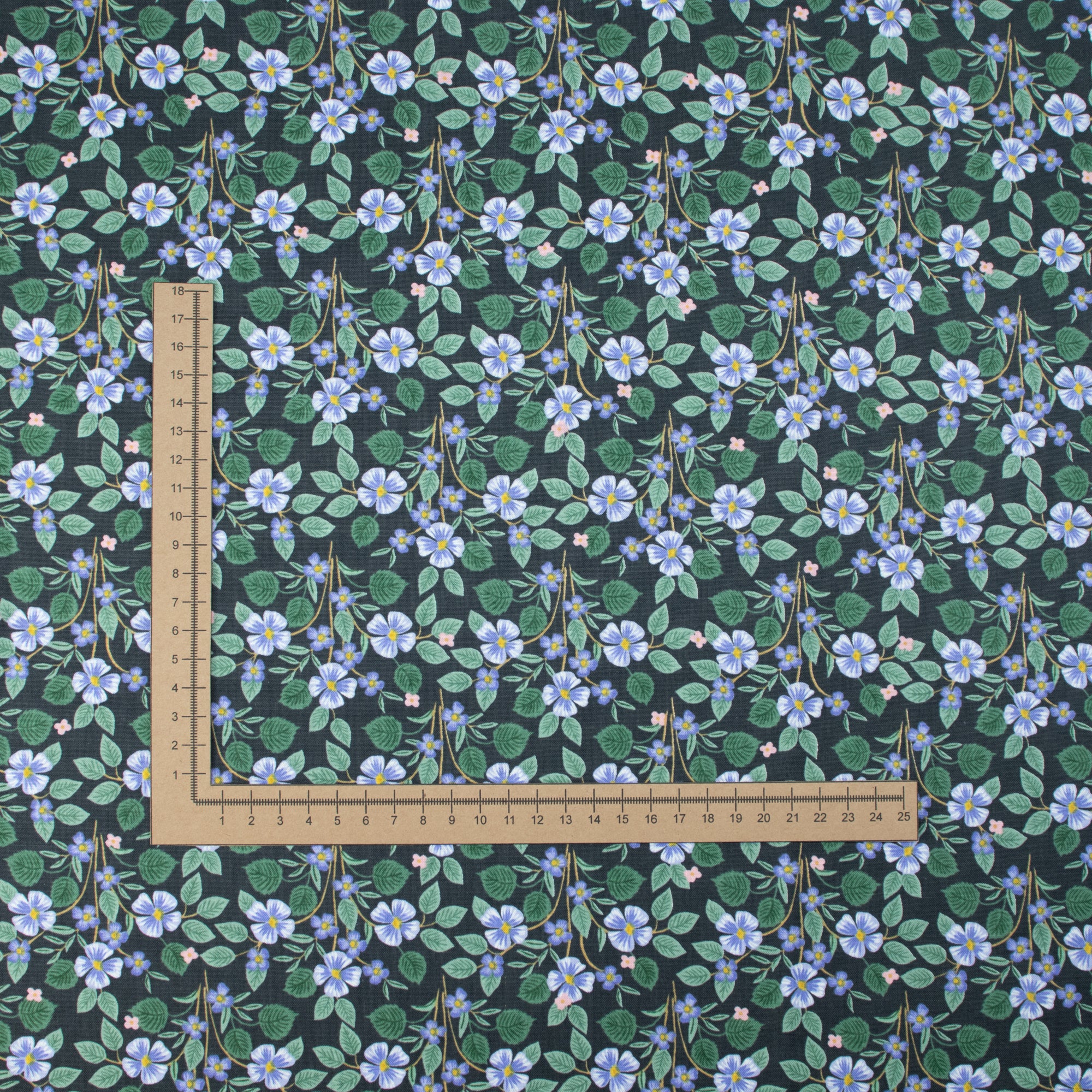 Cotton and Steel - Bramble - Briar - Black Fabric - Rifle Paper Co.