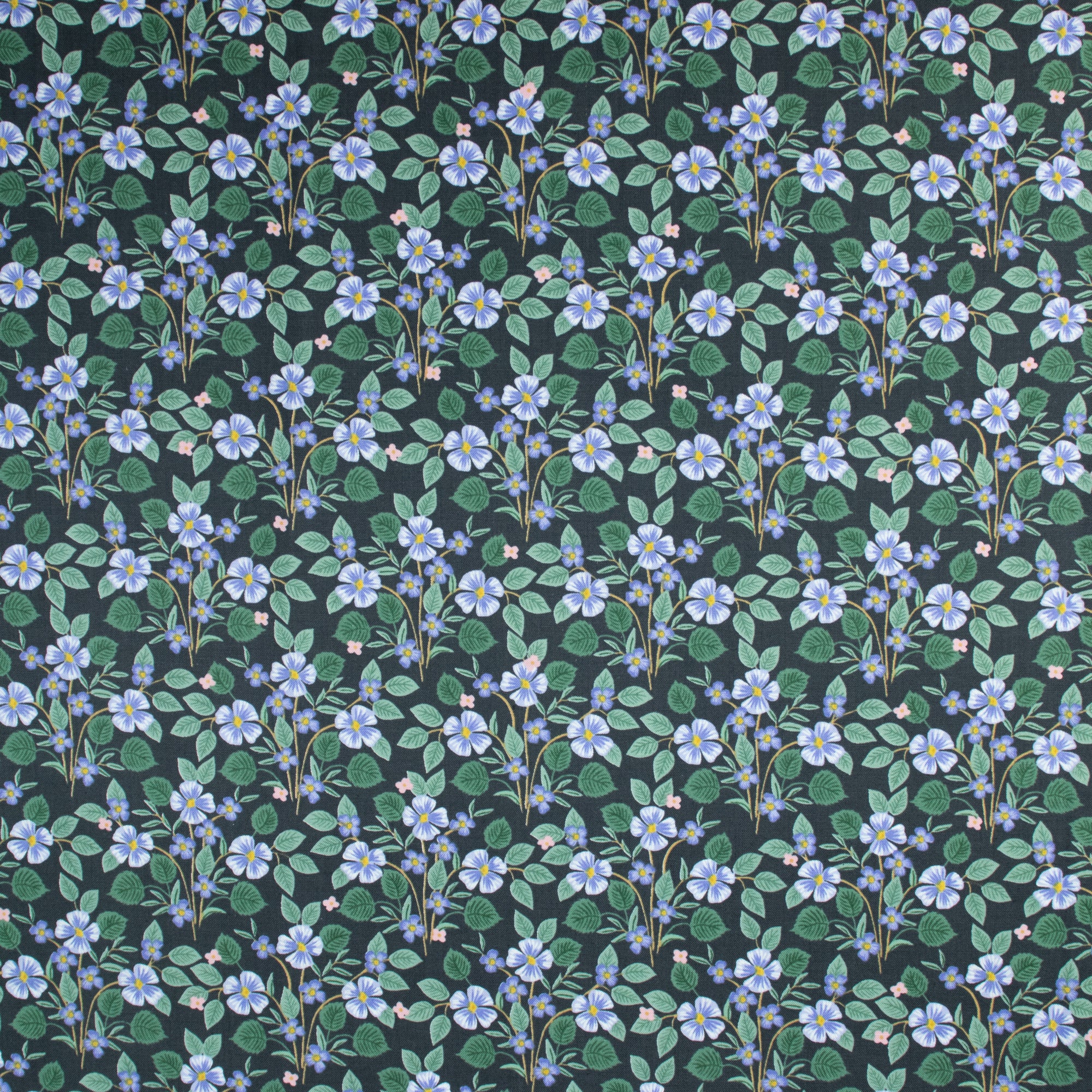 Cotton and Steel - Bramble - Briar - Black Fabric - Rifle Paper Co.
