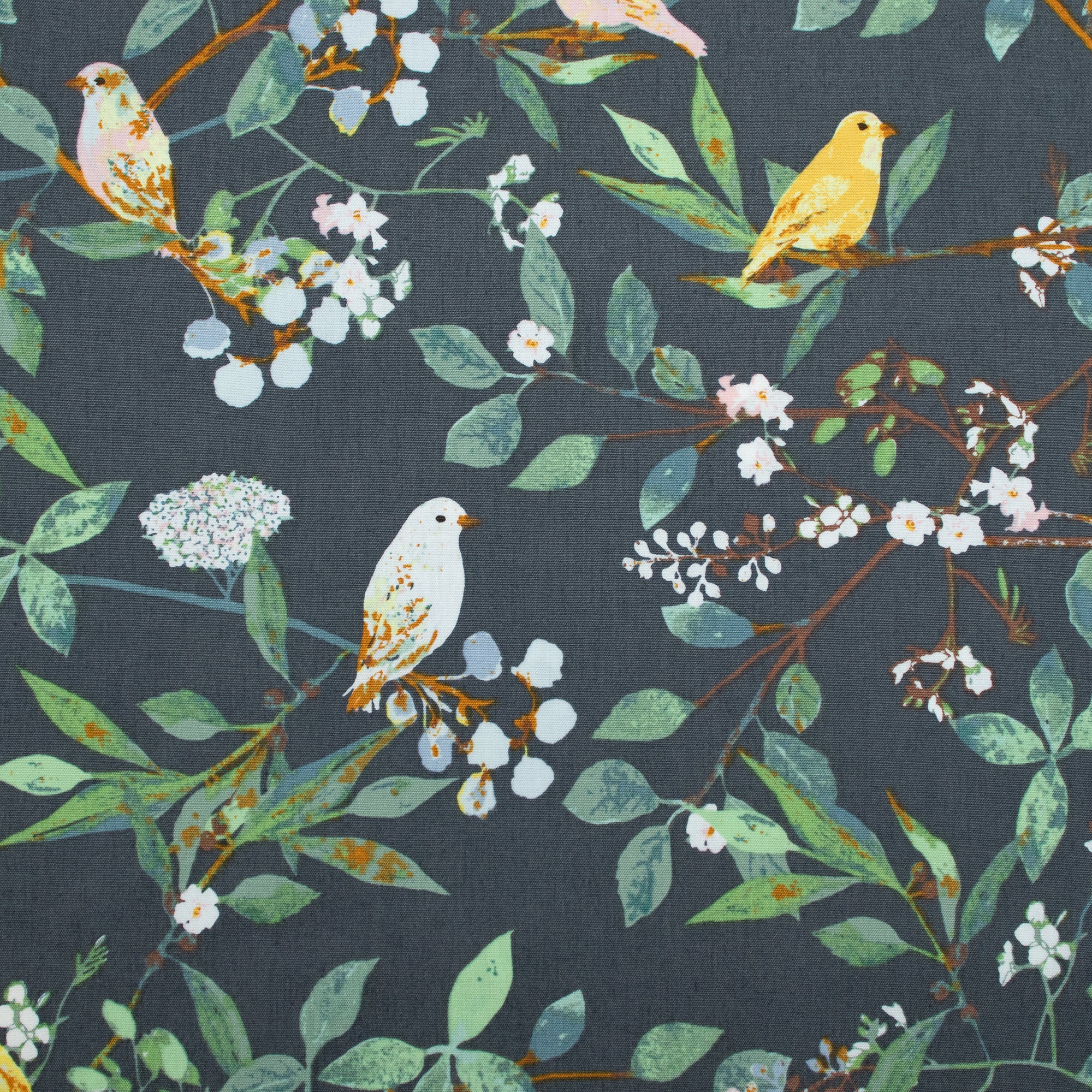 Art Gallery Fabrics - Plentiful - Melodic Plumage Night - Katarina Roccella