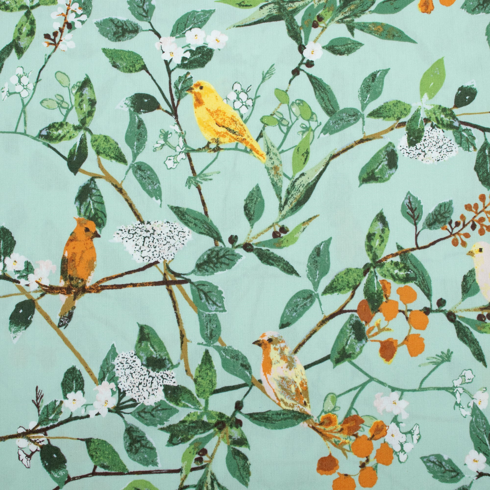 Art Gallery Fabrics - Plentiful - Melodic Plumage Day - Katarina Roccella