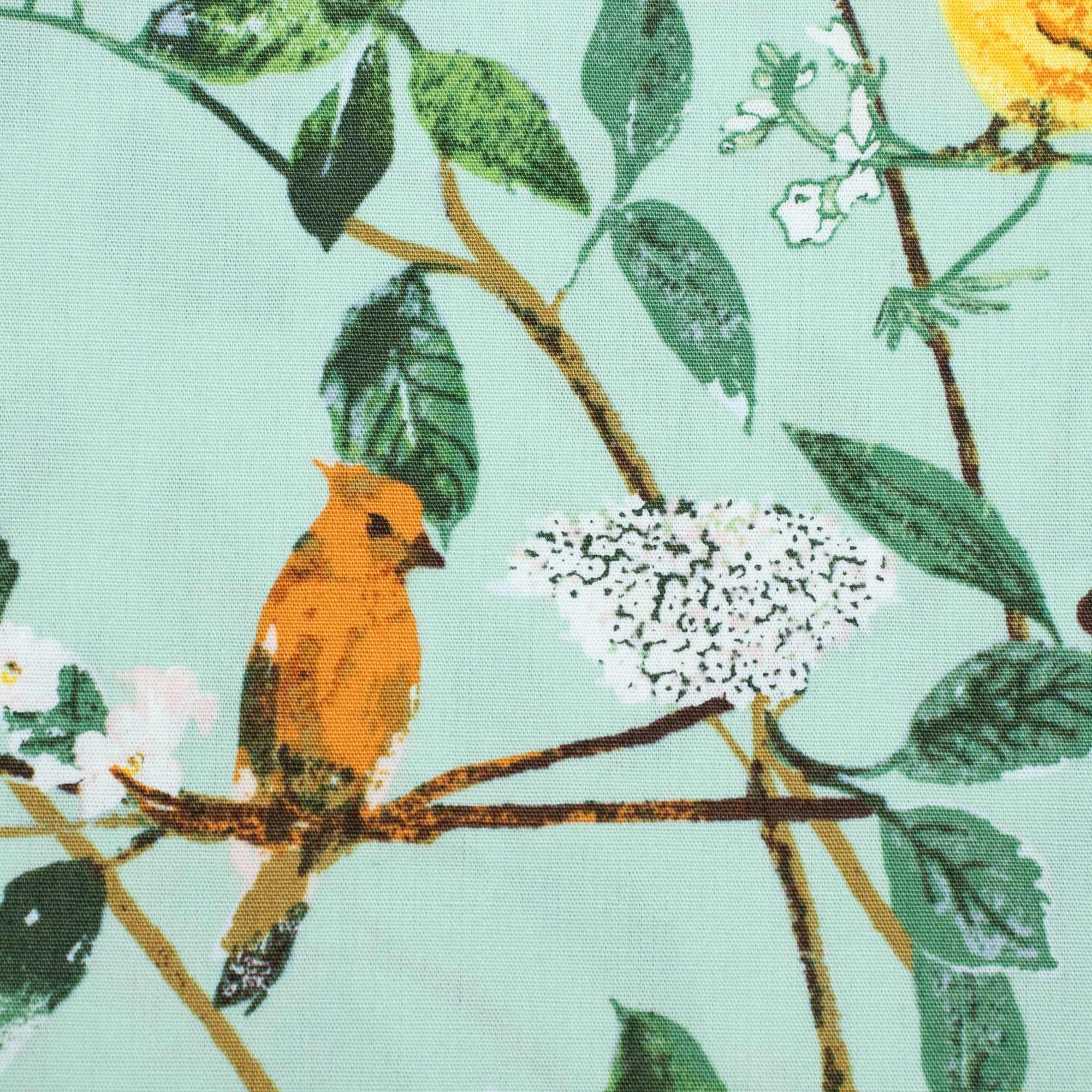 Art Gallery Fabrics - Plentiful - Melodic Plumage Day - Katarina Roccella