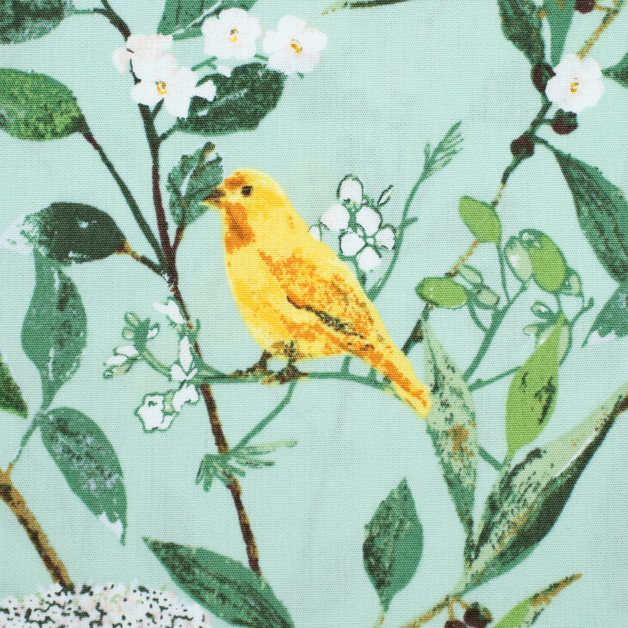Art Gallery Fabrics - Plentiful - Melodic Plumage Day - Katarina Roccella