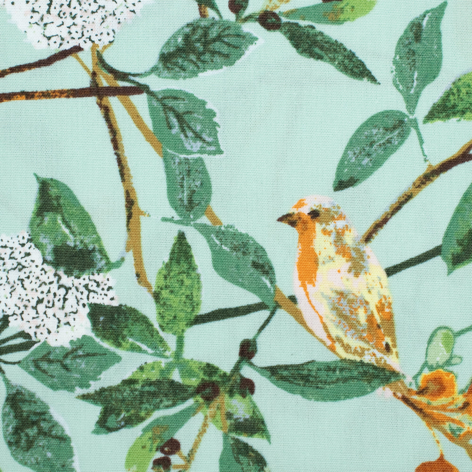 Art Gallery Fabrics - Plentiful - Melodic Plumage Day - Katarina Roccella
