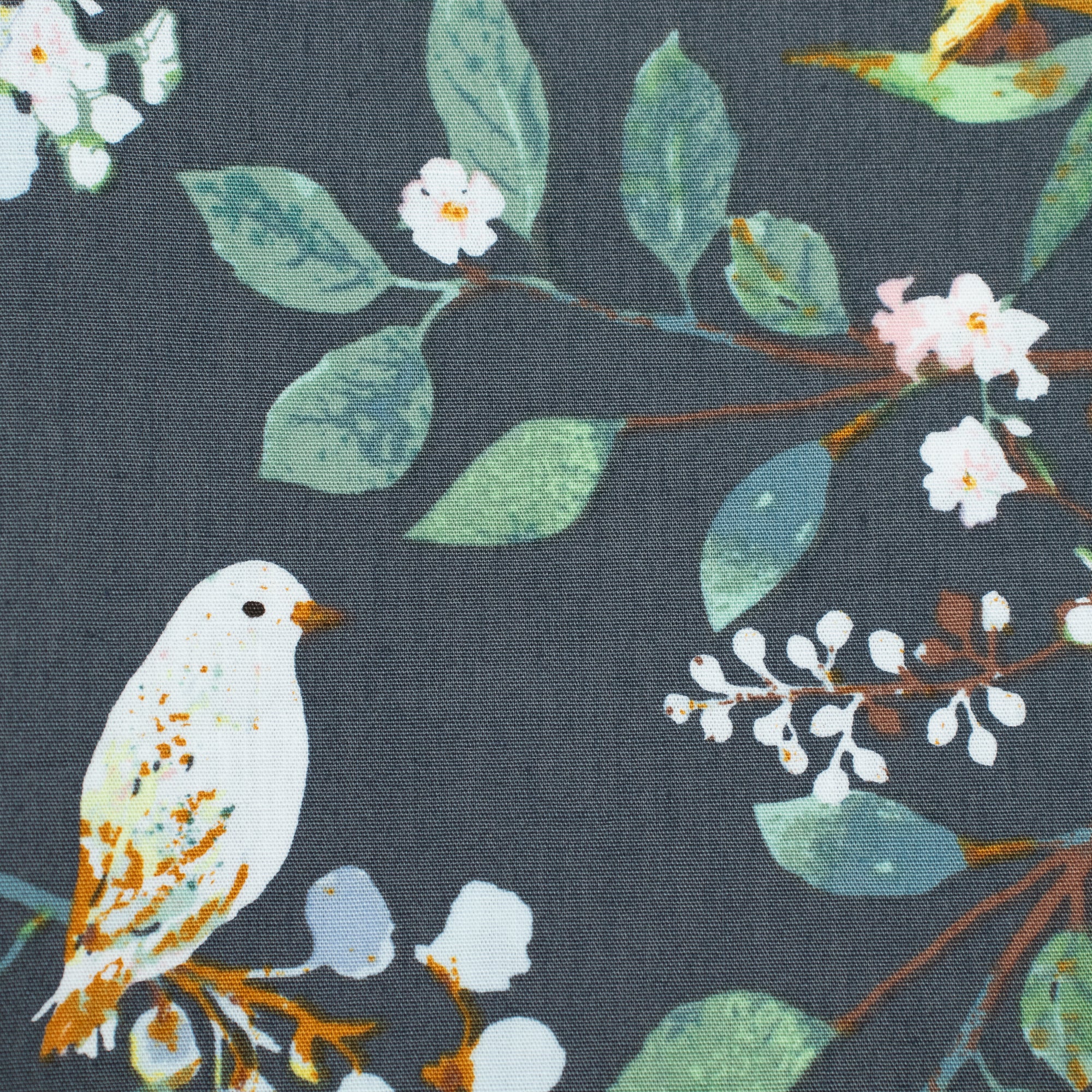 Art Gallery Fabrics - Plentiful - Melodic Plumage Night - Katarina Roccella