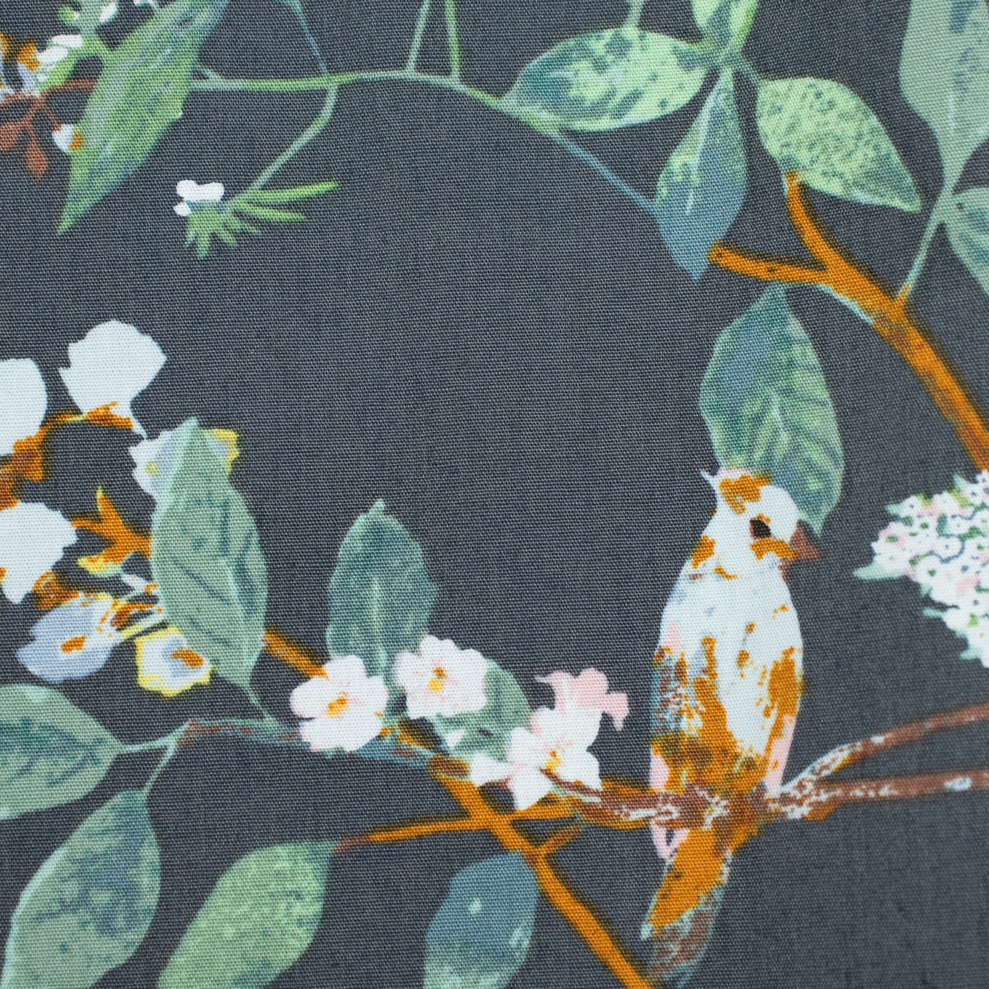 Art Gallery Fabrics - Plentiful - Melodic Plumage Night - Katarina Roccella