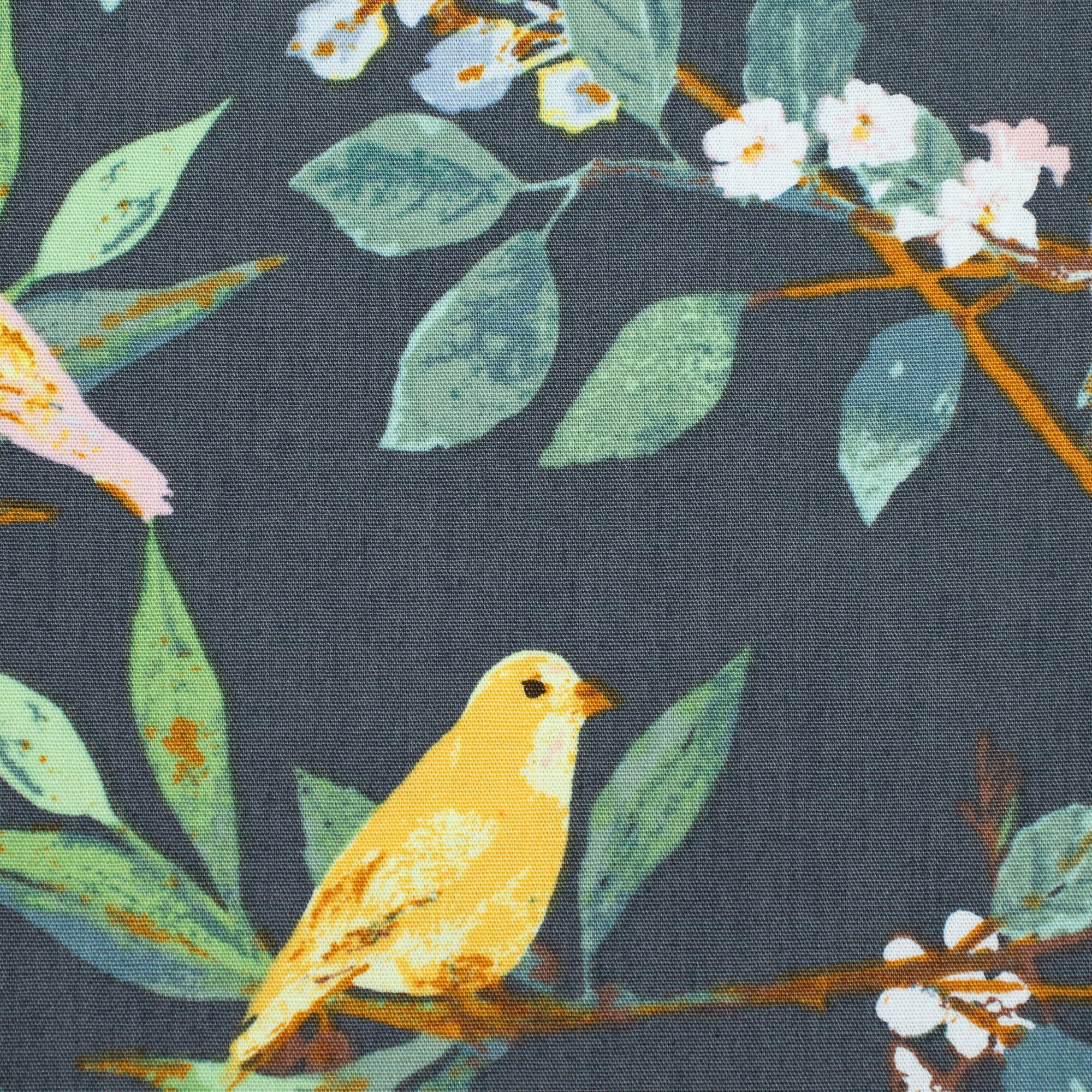Art Gallery Fabrics - Plentiful - Melodic Plumage Night - Katarina Roccella