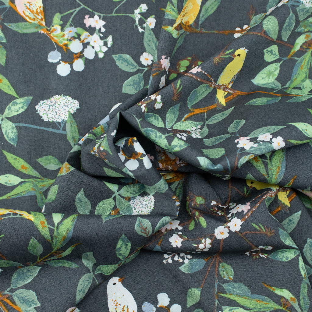 Art Gallery Fabrics - Plentiful - Melodic Plumage Night - Katarina Roccella