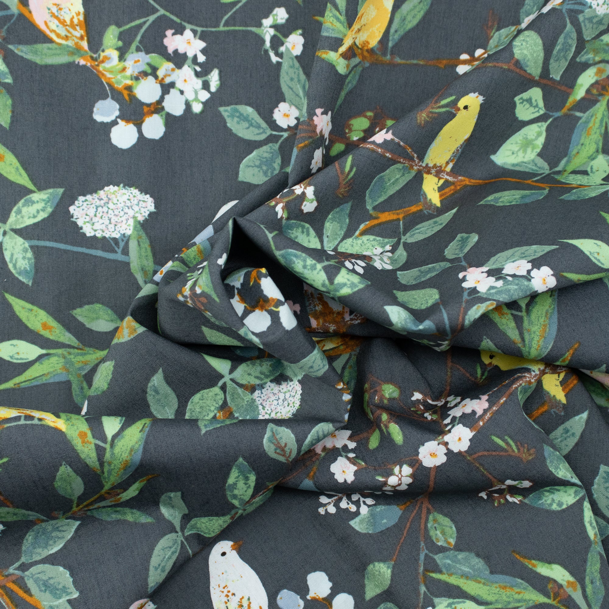 Art Gallery Fabrics - Plentiful - Melodic Plumage Night - Katarina Roccella