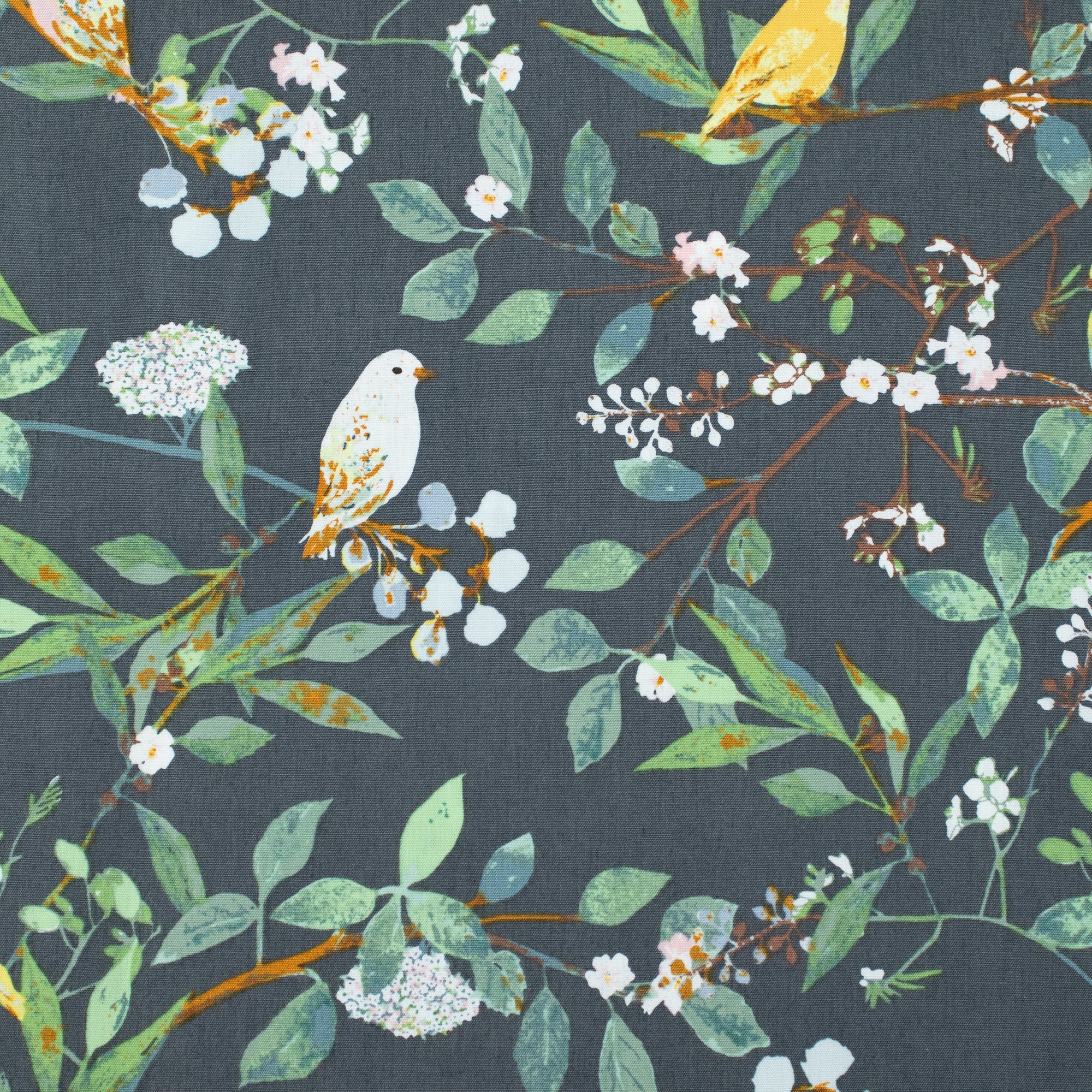 Art Gallery Fabrics - Plentiful - Melodic Plumage Night - Katarina Roccella