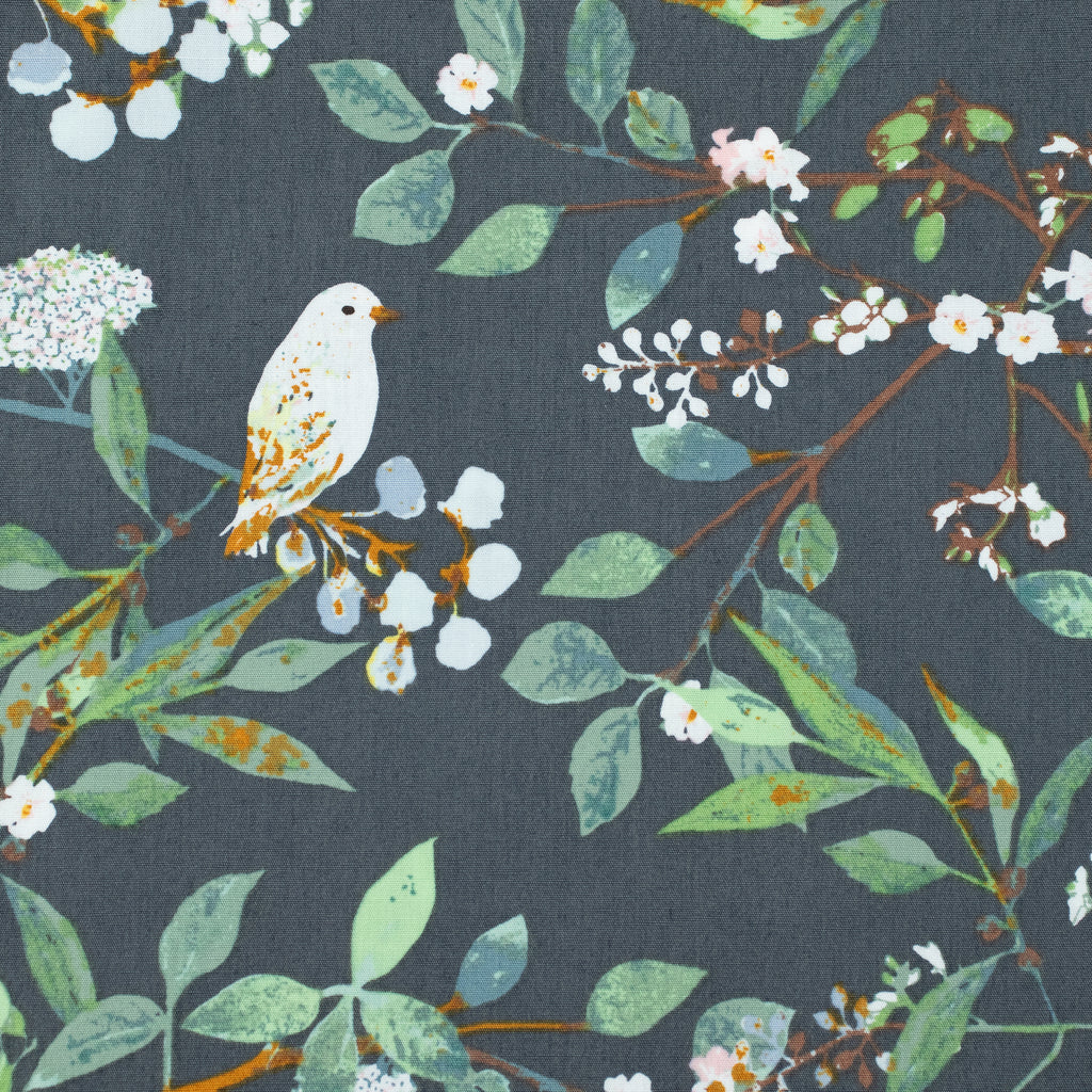 Art Gallery Fabrics - Plentiful - Melodic Plumage Night - Katarina Roccella