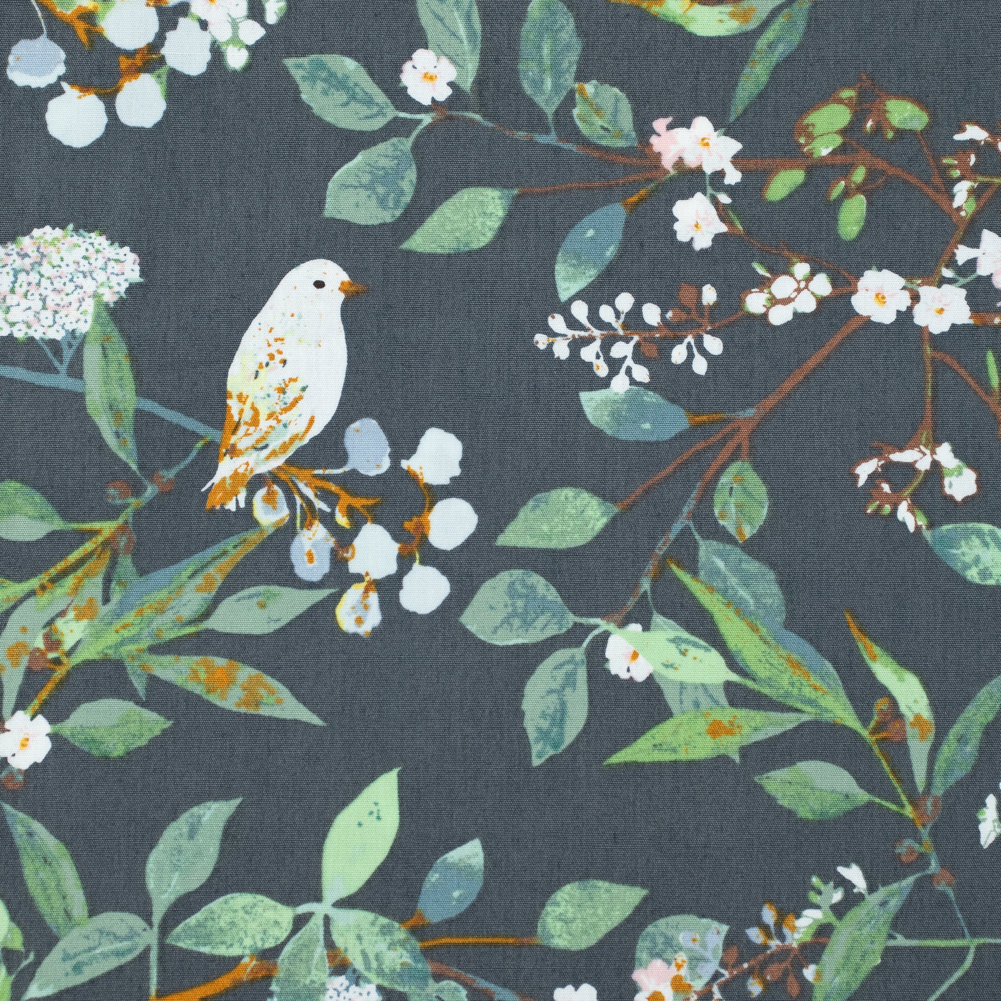 Art Gallery Fabrics - Plentiful - Melodic Plumage Night - Katarina Roccella