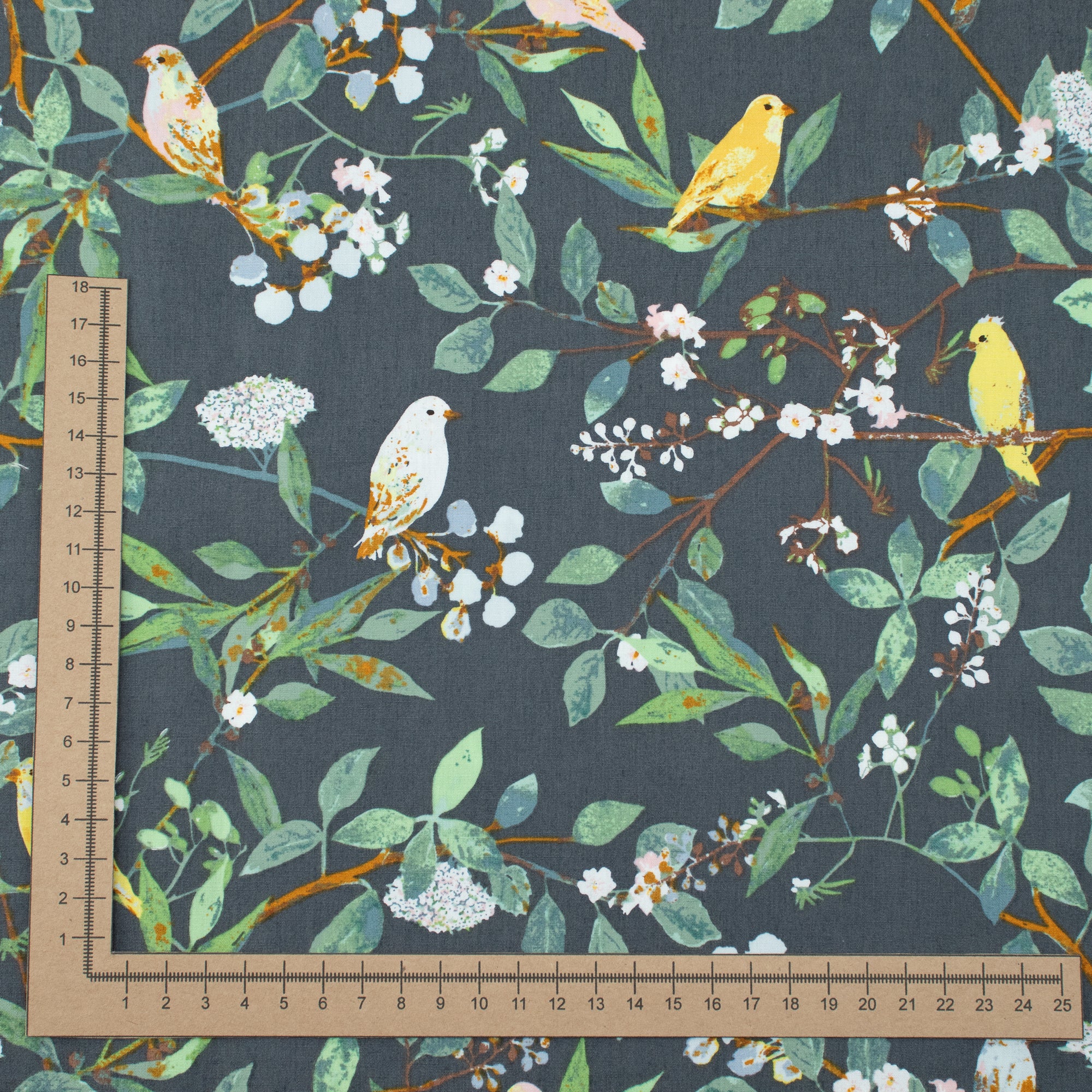 Art Gallery Fabrics - Plentiful - Melodic Plumage Night - Katarina Roccella