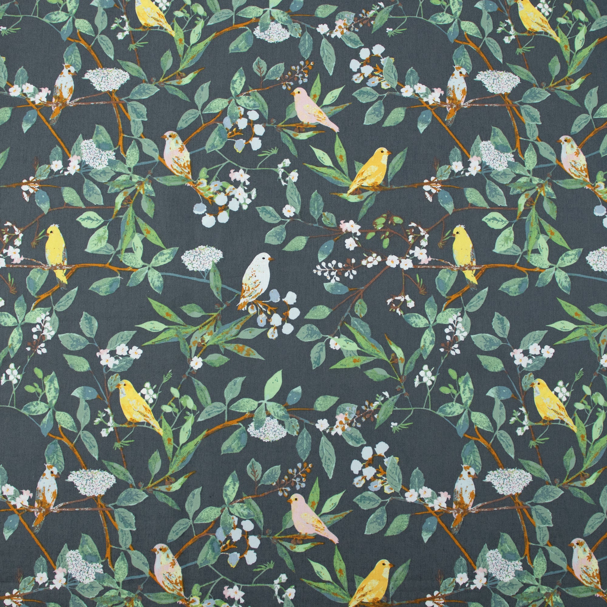 Art Gallery Fabrics - Plentiful - Melodic Plumage Night - Katarina Roccella