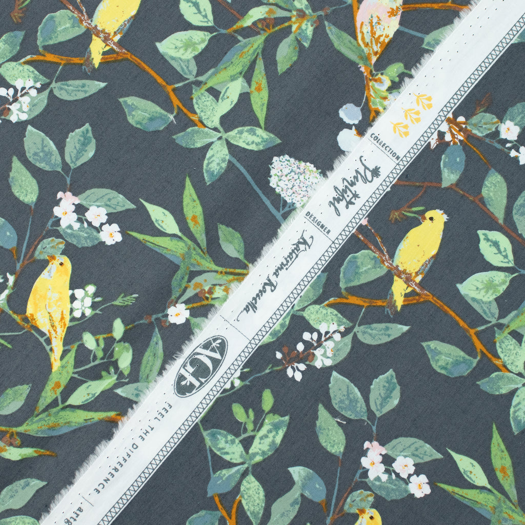 Art Gallery Fabrics - Plentiful - Melodic Plumage Night - Katarina Roccella