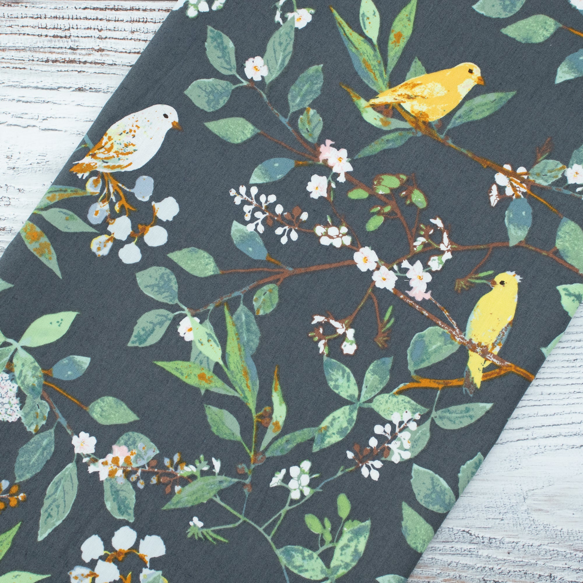 Art Gallery Fabrics - Plentiful - Melodic Plumage Night - Katarina Roccella