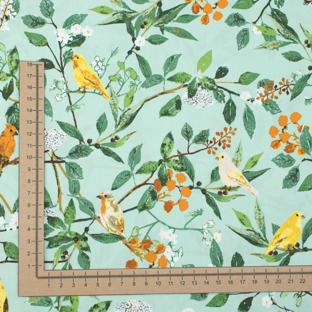 Art Gallery Fabrics - Plentiful - Melodic Plumage Day - Katarina Roccella