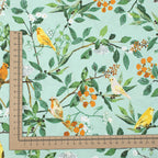 Art Gallery Fabrics - Plentiful - Melodic Plumage Day - Katarina Roccella