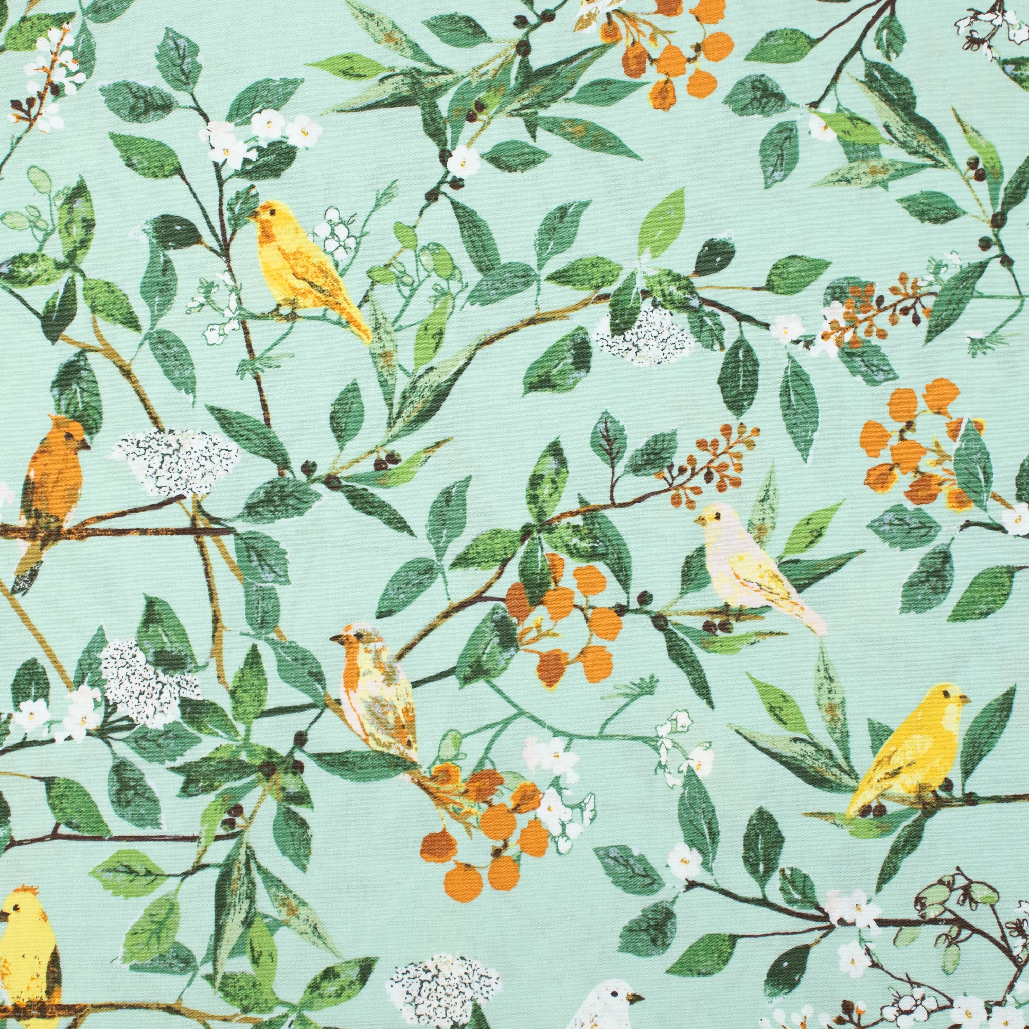 Art Gallery Fabrics - Plentiful - Melodic Plumage Day - Katarina Roccella