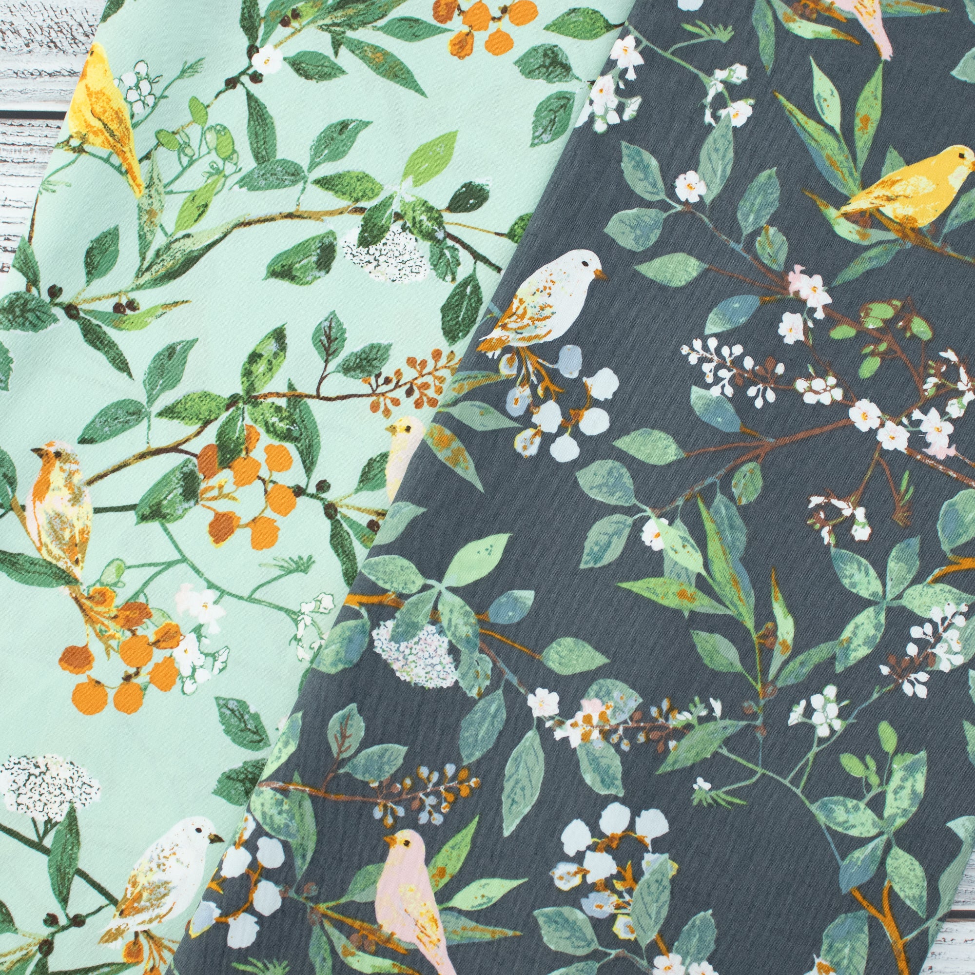 Art Gallery Fabrics - Plentiful - Melodic Plumage Night - Katarina Roccella